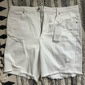 Risen Distressed Jean Shorts - 2XL